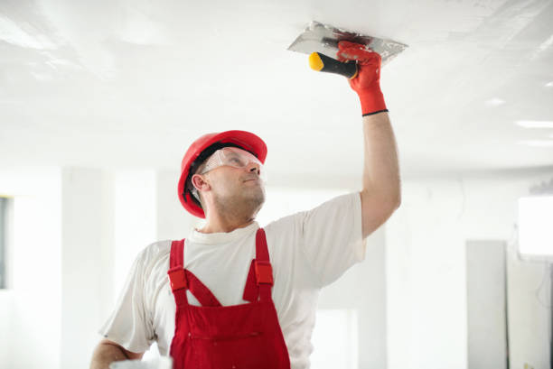 Best Mold Odor Removal Services  in Wayne, WV