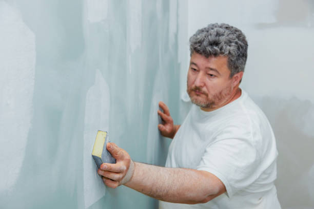 Best Emergency Mold Remediation  in Wayne, WV