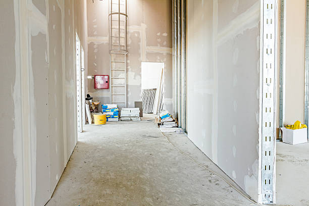Mold Odor Removal Services in Wayne, WV