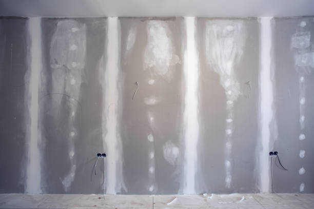 Mold Remediation for Vacation Homes in Wayne, WV